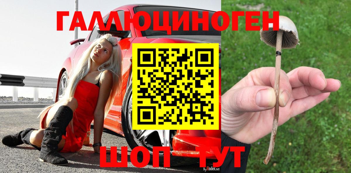 купить наркоту  Вход с VPN  Владимир  Псилоцибиновые грибы Magic Shrooms 